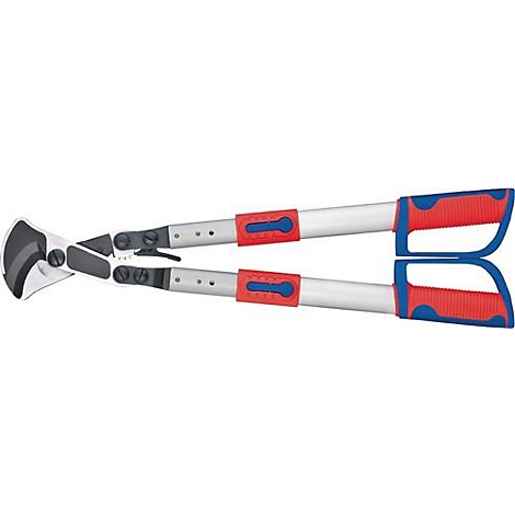 Loppers with red and blue handles. The cutting tool is silver.