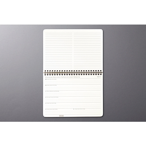 Carnet à spirale, double page ouverte, pages lignées. En haut, une section pour les titres.