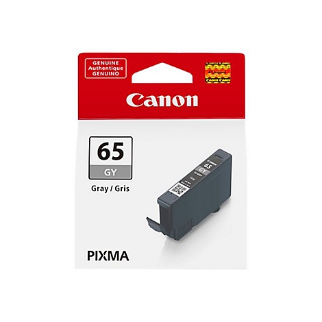 Tintenpatrone Canon 65 GY. Auf der Verpackung steht Genuine und Canon.