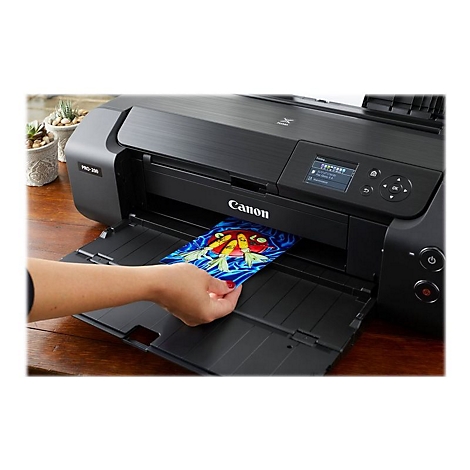 Schwarzer Canon Drucker, bedruckt ein Bild mit bunten Fischen, Person legt es in das Ausgabefach. Details: Bildschirm, Bedienknöpfe.