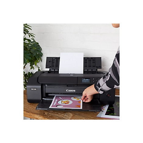 Eine Person legt ein gedrucktes Bild in einen schwarzen Canon PRO-200 Drucker ein. Auf dem gedruckten Bild sind Spiegeleier zu sehen.