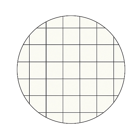 Objet circulaire avec un motif en damier de lignes noires et un fond beige clair.