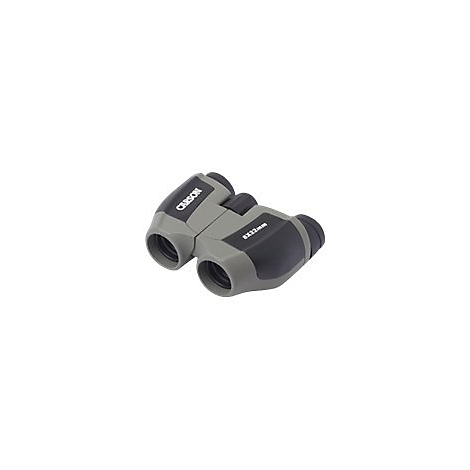 Kompaktes, grau-schwarzes Carson-Fernglas 8x22mm vor weißem Hintergrund.