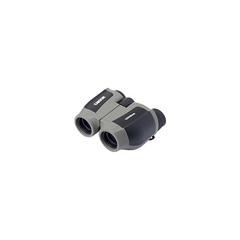 Kompaktes Fernglas in Grau und Schwarz mit Aufschrift 10x25mm vor weißem Hintergrund.
