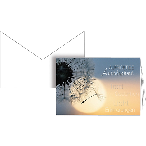 Sachet de 10 cartes simples de condoléances et 10 enveloppes - Carte de  correspondance - Achat & prix