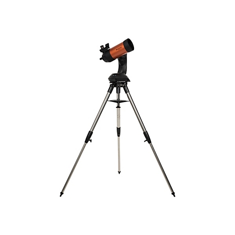 Ein Teleskop auf einem Stativ, orangefarbenes Teleskoprohr, Logo "Celestron".