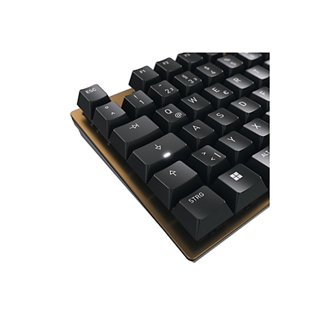 Nahaufnahme einer schwarzen mechanischen Tastatur mit goldenem Rahmen. Einige Tasten sind beschriftet: ESC, STRG, Pfeiltasten, Buchstaben und Zahlen.