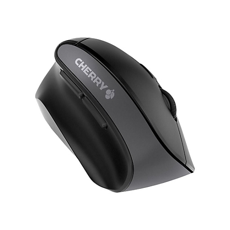 Souris d'ordinateur noire avec des accents gris. 'CHERRY' Ã©crit en majuscules.