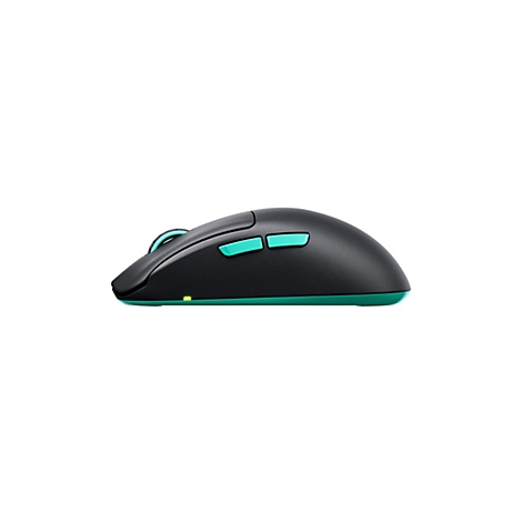 Souris d'ordinateur noire avec des accents turquoise. La souris est représentée de côté sur un fond blanc.