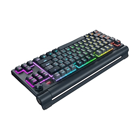 Schwarze mechanische Tastatur mit mehrfarbiger Hintergrundbeleuchtung und verschiedenen Tasten.