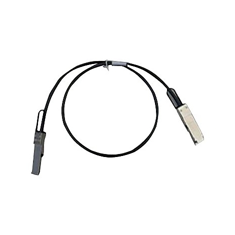 Ein schwarzes Kabel mit zwei silbernen Steckern an den Enden, verbunden durch ein schwarzes Kabel.