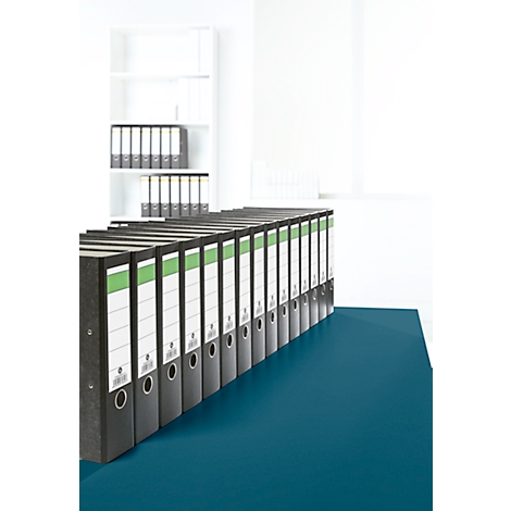 Rangée de classeurs sur une table bleue. Armoire et autres dossiers en arrière-plan.