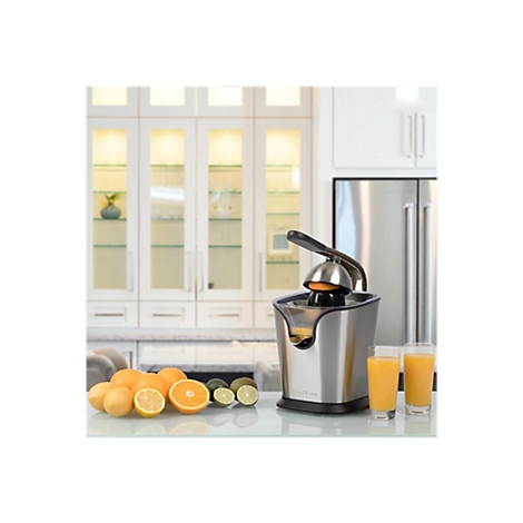 Edelstahl-Zitruspresse mit Hebel auf einer Kücheninsel neben frischen Früchten und zwei Gläsern Orangensaft.