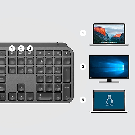 Clavier gris à côté d'ordinateurs portables équipés de différents systèmes d'exploitation. L'accent est mis sur la fonctionnalité et la compatibilité.