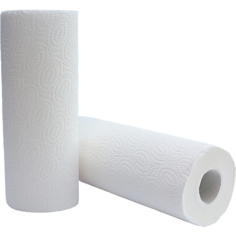 Zwei weisse Rollen Küchenpapier stehen vor einem neutralen, weissen Hintergrund.