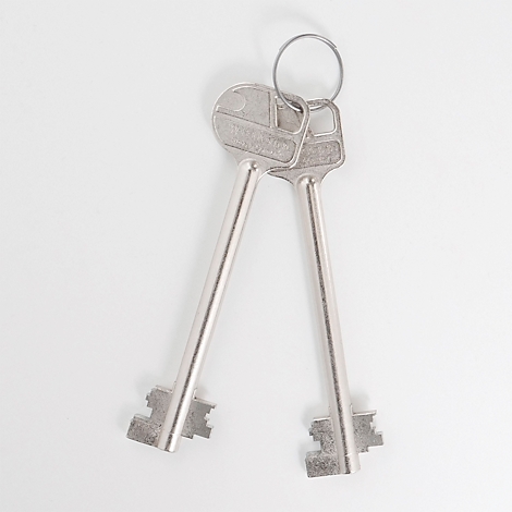 Deux clés argentées avec un porte-clés sur fond blanc.