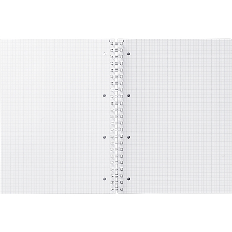 Opened, grid-lined notebook with spiral binding. The pages are blank.