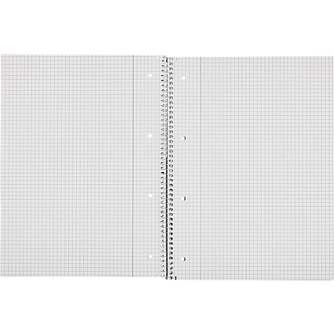 Aufgeschlagenes kariertes Notizbuch. Links und rechts die Seiten mit feinen Linien im Raster. In der Mitte die Spiralbindung.