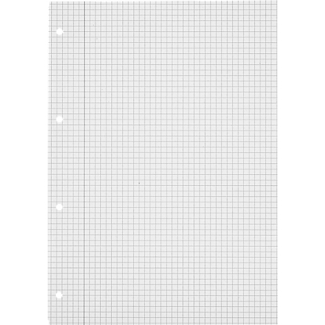 Blatt kariertes Papier mit Lochung links. Das Papier ist mit einem feinen Rastermuster versehen.