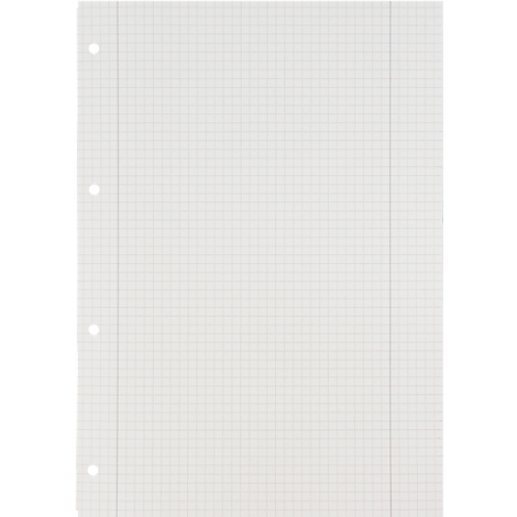 Ein weisses, kariertes Blatt Papier mit vier Lochungen an der linken Seite.