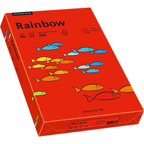 Red paper block with fish pattern and inscription "Rainbow".