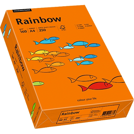Orange box with fish motifs and the inscription "Rainbow".