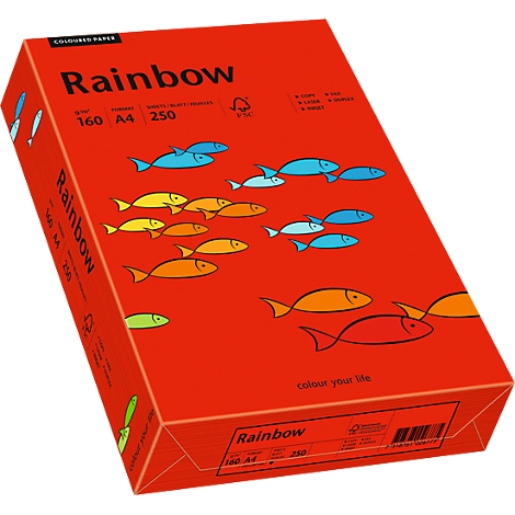 Red paper box with colorful painted fish. Inscription: Rainbow, 160, A4, 250.