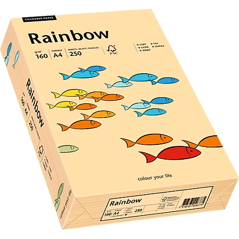 Package of colored paper with fish pattern. Inscription: Rainbow, 160g, A4, 250 sheets.