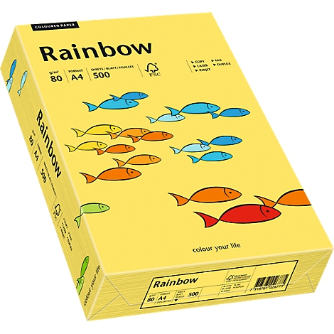 Yellow paper box with fish motifs, 'Rainbow' lettering and technical specifications.