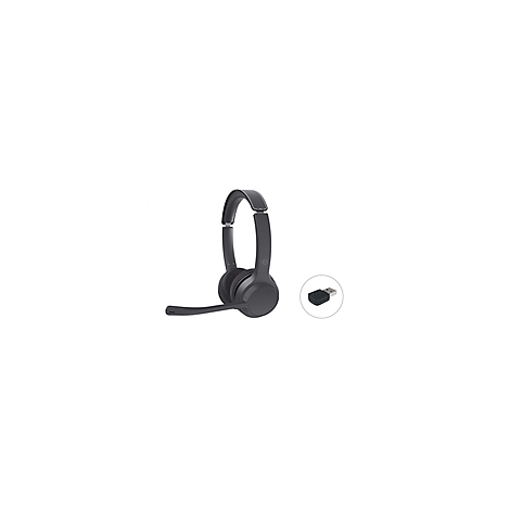 Dunkelgraues Headset mit Mikrofon und USB-Adapter, freigestellt auf weißem Hintergrund.