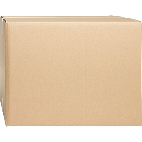 Brown, rectangular cardboard box against a white background.