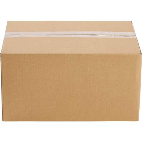 Brown rectangular cardboard box, sealed with tape.