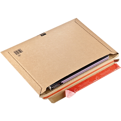 A brown envelope, partially open, with a book and purple pages.