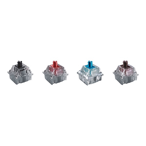 Vier farbige Tastatur-Switches nebeneinander. Schwarzer, roter, blauer und brauner Schalter.