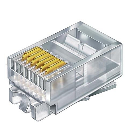 Nahaufnahme eines transparenten RJ45-Steckers mit goldfarbenen Kontakten.