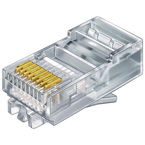 Nahaufnahme eines transparenten RJ45-Steckers mit goldenen Kontakten. Das Gehäuse hat eine kantige Form, Stecker-Zunge und ein Rastnasen-Design.