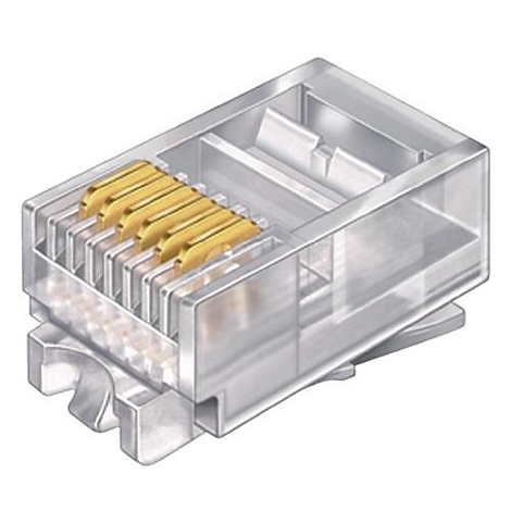 Transparenter RJ45-Stecker mit goldfarbenen Kontakten.