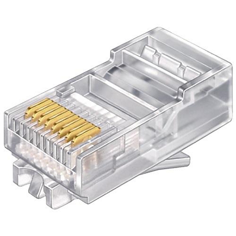 Nahaufnahme eines transparenten RJ45-Steckers mit goldenen Kontakten.