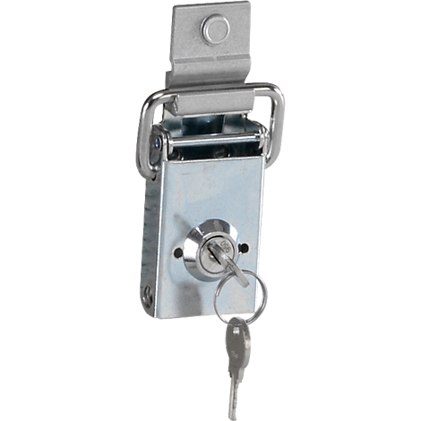Metal lock with key inserted in the lock. Silver, a typical closure.