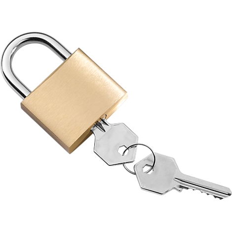 A gold padlock with two keys against a white background.