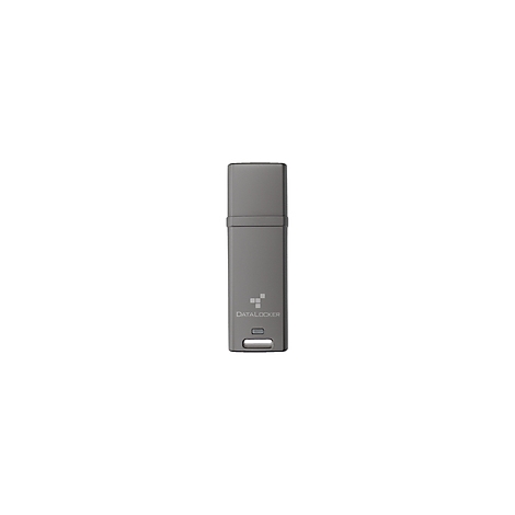 Grauer USB-Stick mit 'DATALOCKER'-Logo und rechteckigem Design.