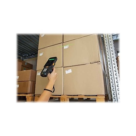 Hand hÃ¤lt einen Scanner auf Kartons. Ein grÃ¼ner Laserstrahl wird auf einen Karton gerichtet.