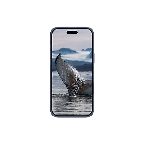 Ein Handy mit einem blauen Rahmen zeigt das Heck einer springenden Wal an. Wasser spritzt hoch, im Hintergrund Berge.