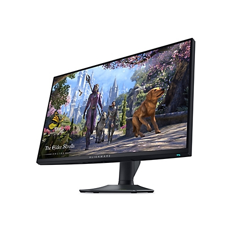 Ein Alienware-Monitor zeigt ein Spiel mit Fantasy-Landschaft. Auf dem Bildschirm sind Charaktere zu sehen, ein Hund, der nach oben schaut, und der Titel The Elder Scrolls.