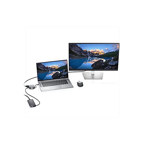 Ordinateur portable et moniteur avec image de paysage connectés à un hub et une souris. Sur fond blanc.
