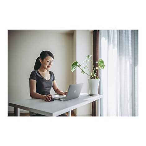 Eine Frau arbeitet an einem Stehtisch mit Laptop und Maus. Daneben eine Pflanze am Fenster.