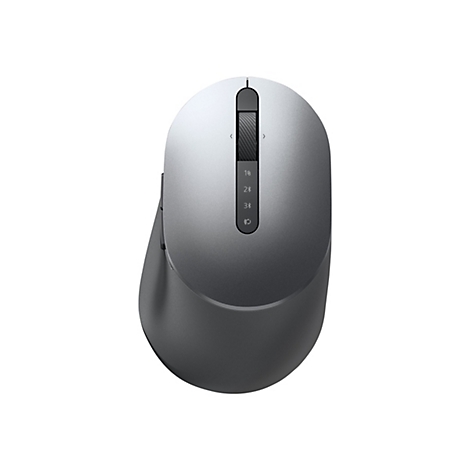 Souris d'ordinateur grise, vue de dessus, avec molette et trois boutons.