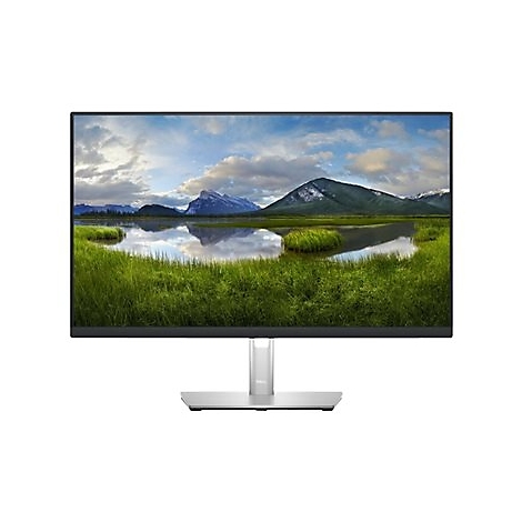 Monitor mit einem Bildschirm, der eine Berglandschaft mit See und Wiesen zeigt. Der Monitor hat einen silbernen StÃ¤nder.