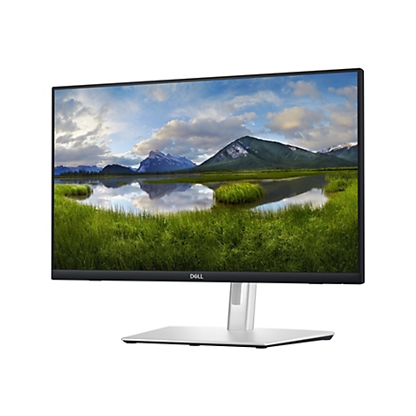 Ein Dell Monitor mit einem Bildschirm, der eine Berglandschaft zeigt. Der Monitor hat einen schwarzen Rahmen und einen silbernen Standfuß.