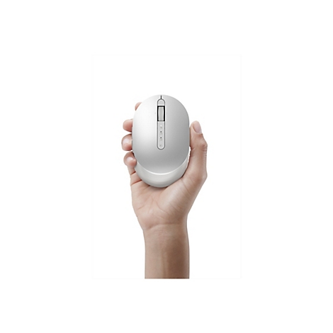 Souris grise tenue en main. Sur fond blanc.